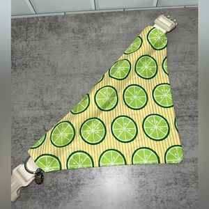 Limes over the collar bandana